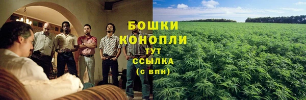 2c-b Рославль