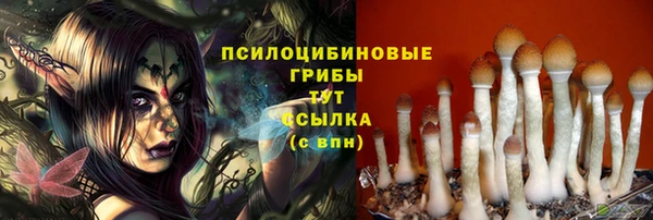 винт Богородск