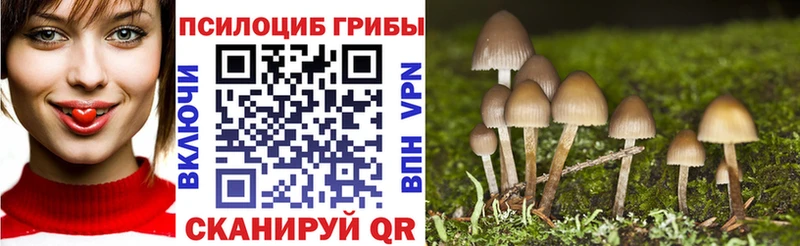 хочу   Судогда  Галлюциногенные грибы мицелий 